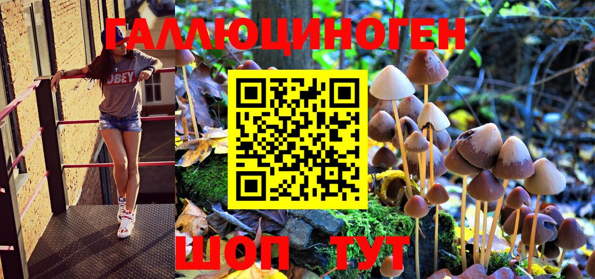 Галлюциногенные грибы GOLDEN TEACHER Пенза