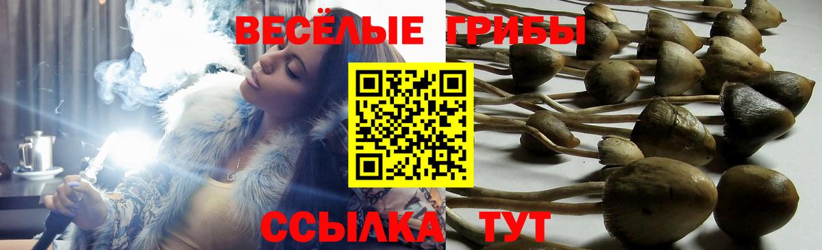 Псилоцибиновые грибы Psilocybine cubensis  Вход с VPN  Пенза 